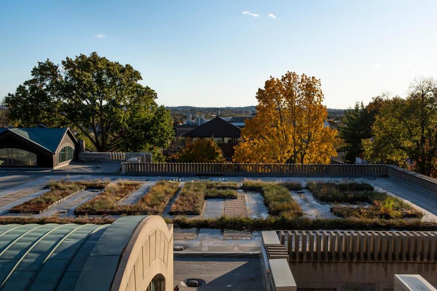 Cognitive science programs with interdisciplinary research in Tufts University